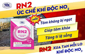 RN2 - Ảnh 2