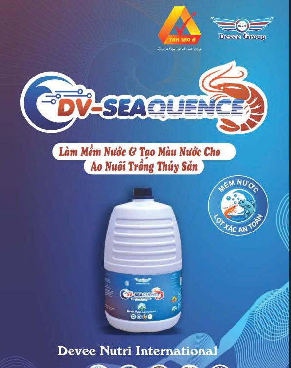 DV-SEAQUENCE - Ảnh 2