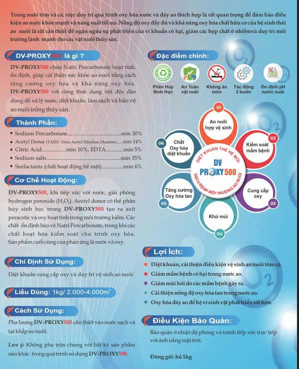 DV-PROXY 500 - Ảnh 3