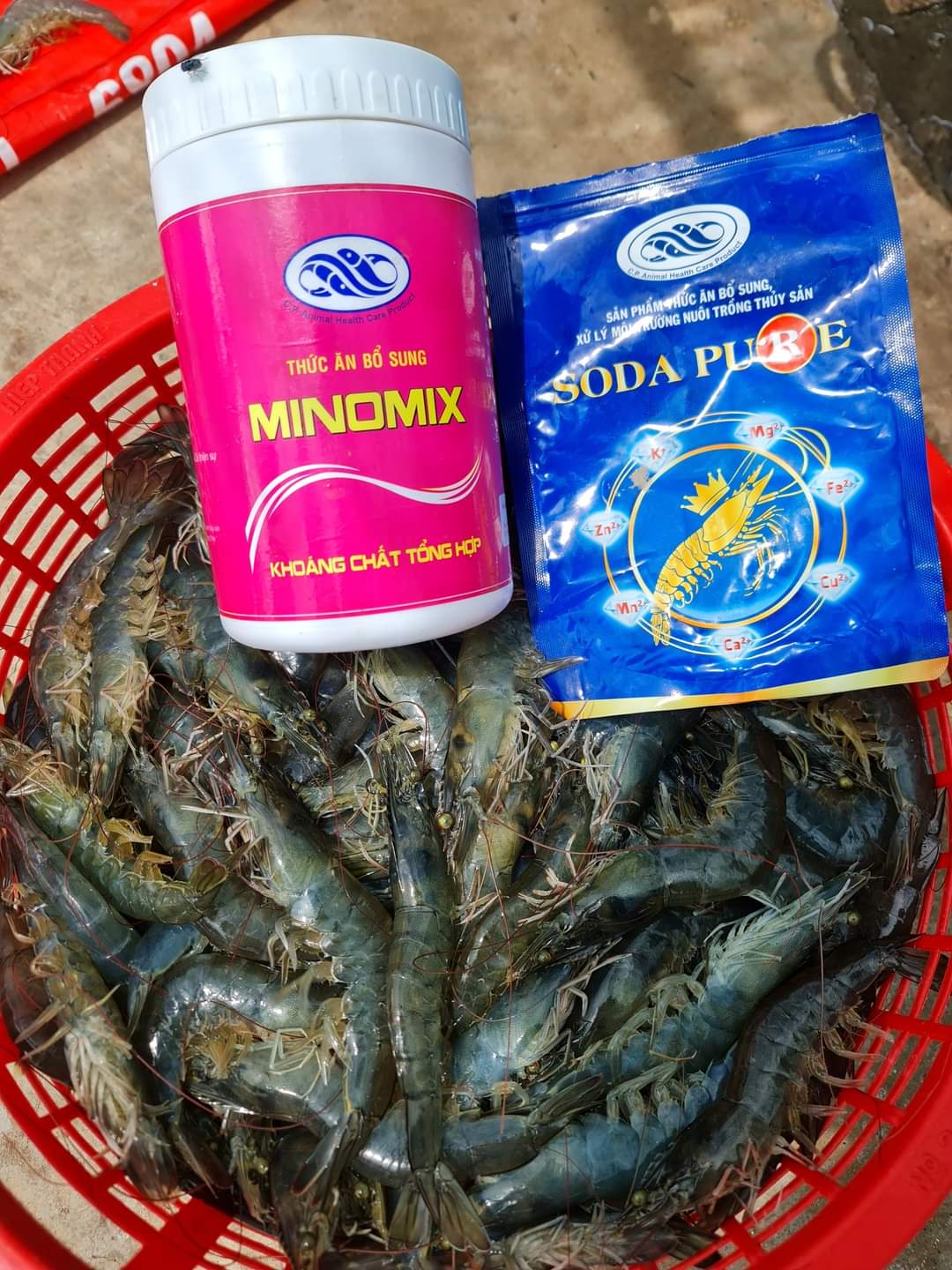 SODA PURE - Ảnh 5