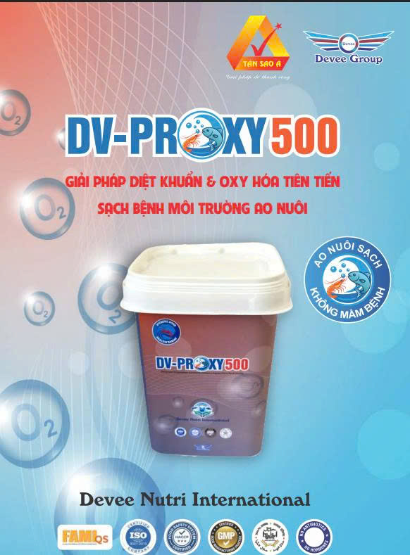 DV-PROXY 500 - Ảnh 2