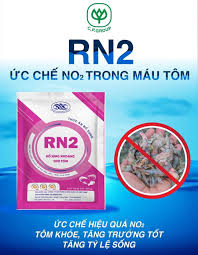 RN2 - Ảnh 3