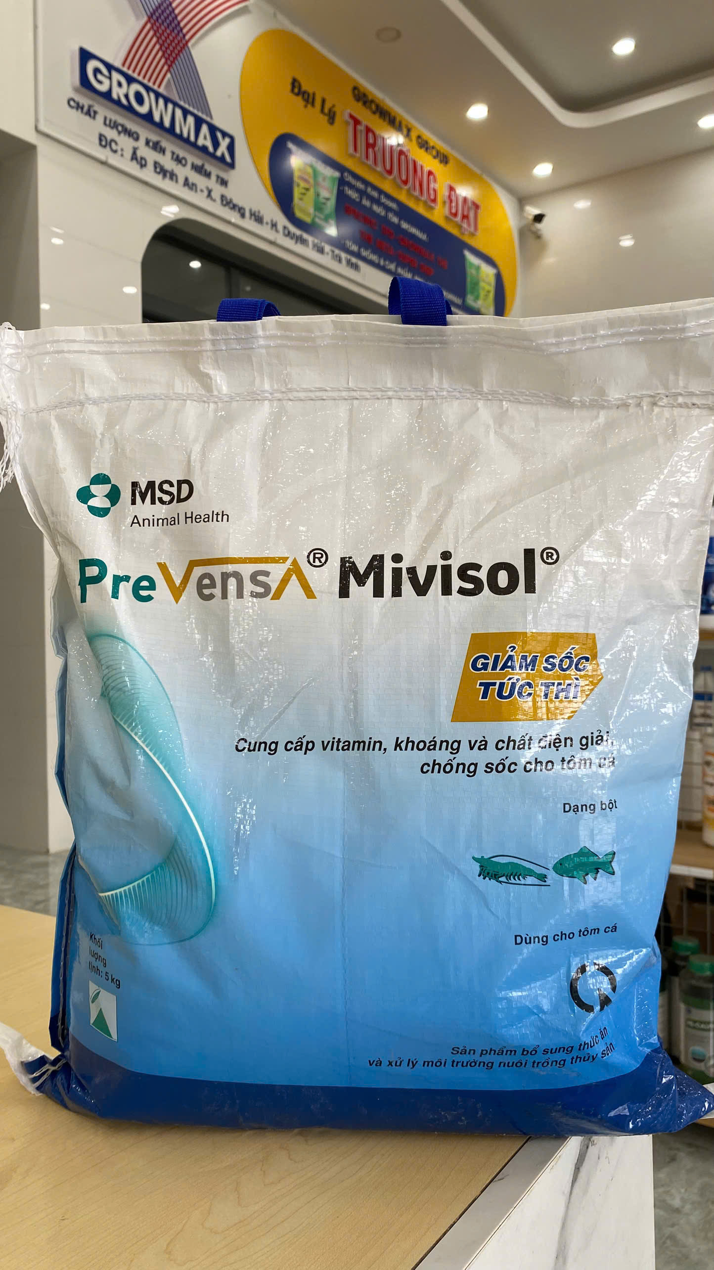 Mivisol - Ảnh 10