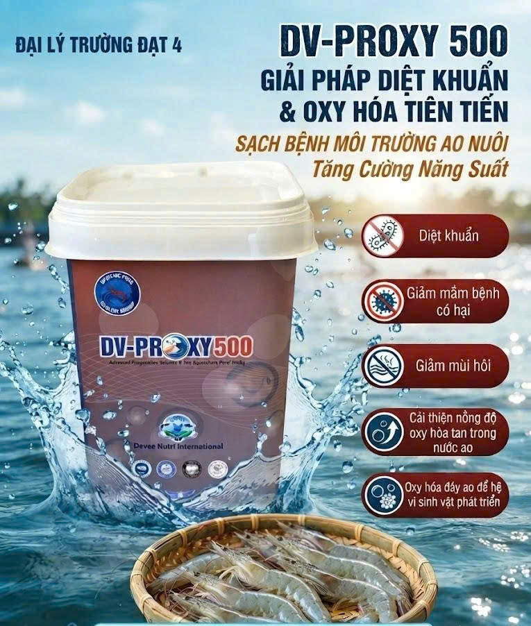 DV-PROXY 500 - Ảnh 4