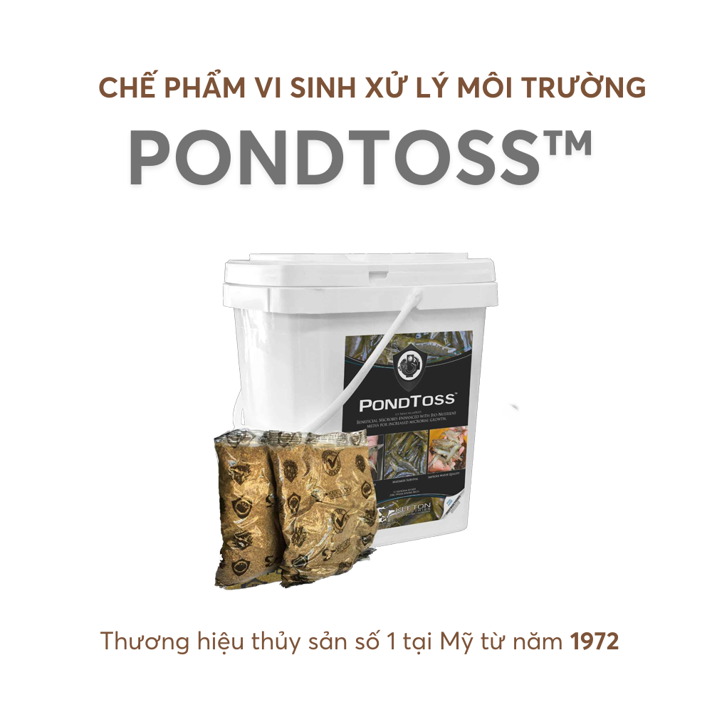 PONDTOSS™ - Ảnh 5