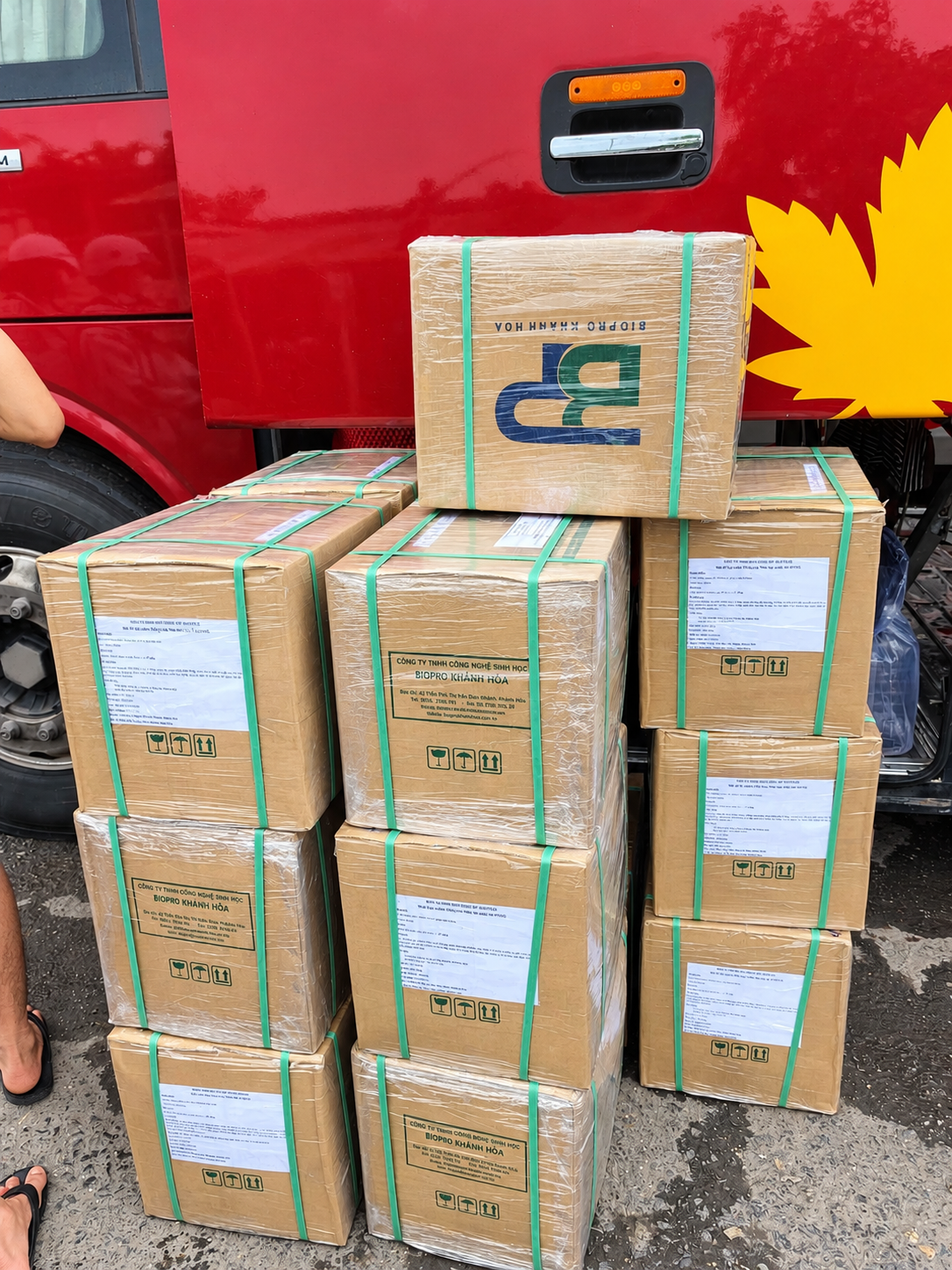 BP ENZYME TH - Ảnh 3