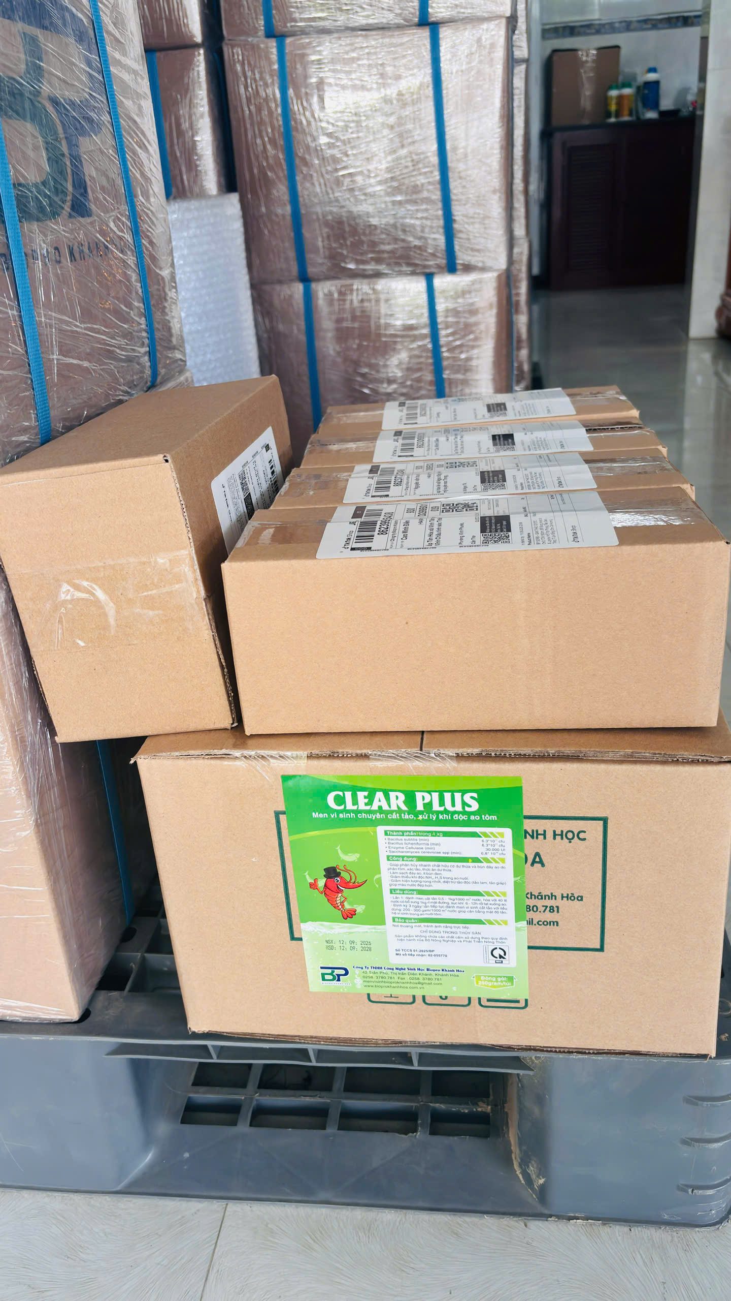 CLEAR PLUS - Ảnh 5