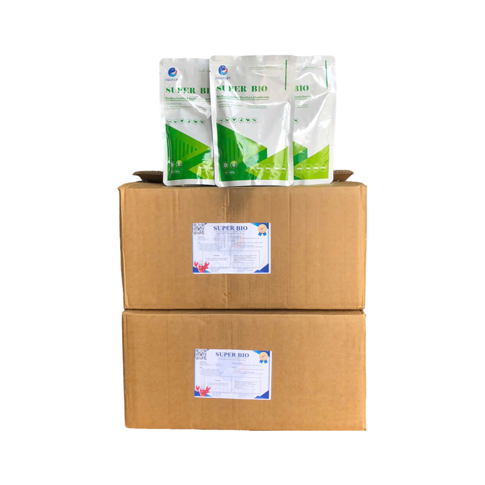 SUPER BIO – Men vi sinh đường ruột, tạo màu nước ao nuôi tôm cá hiệu quả