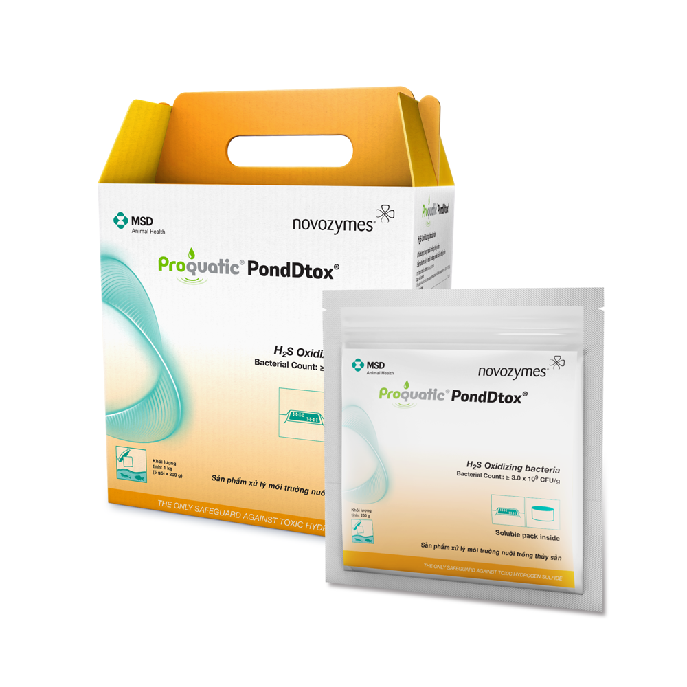 PondDtox sản phẩm men vi sinh xử lý khí doc cho ao nuôi tôm,cá