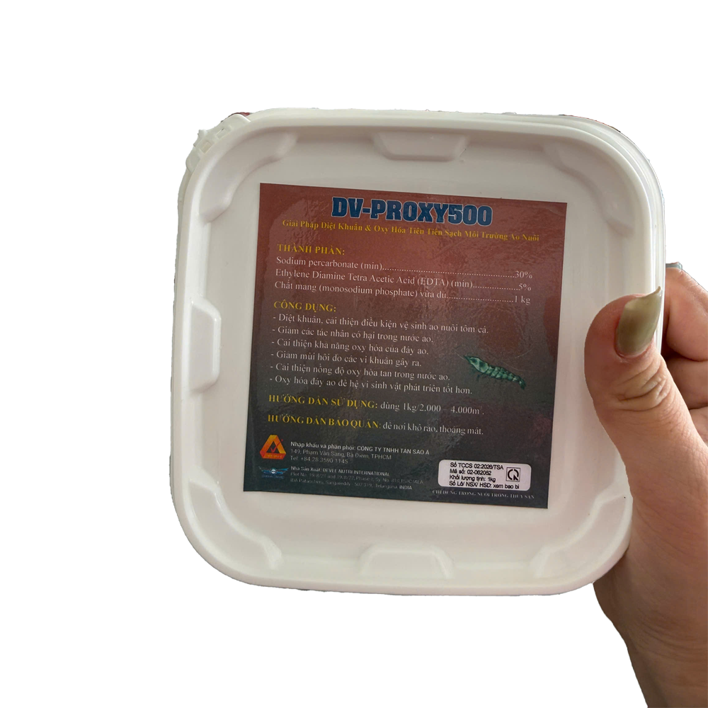 DV-PROXY 500 - Ảnh 3