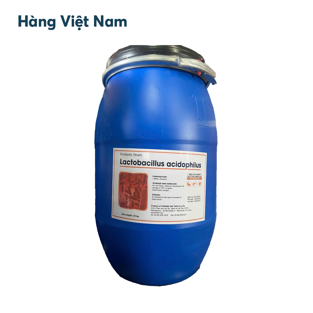 Lactobacillus Acidophilus - Men đường ruột đậm đặc