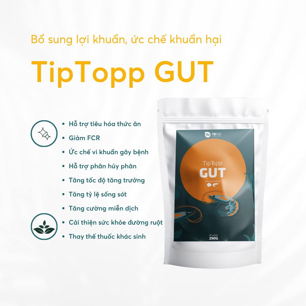 Tip Topp GUT - Ảnh 4