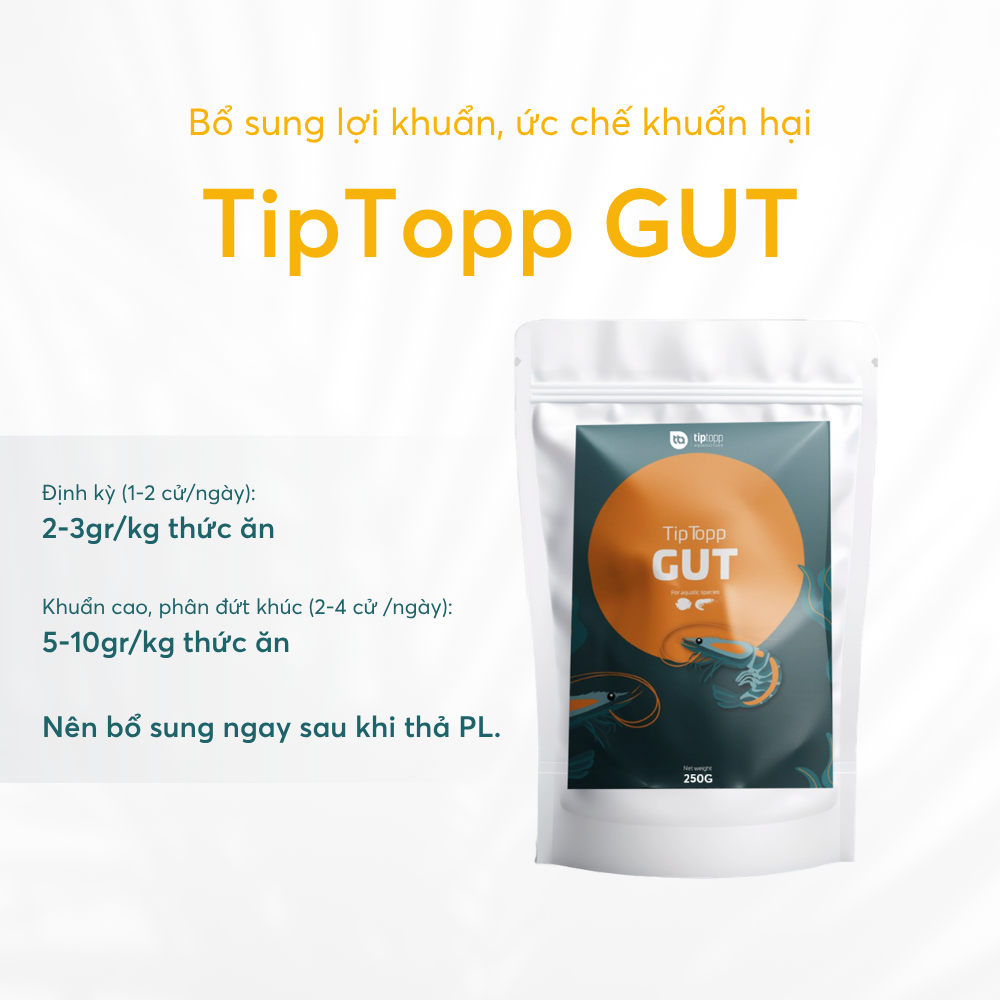Tip Topp GUT - Ảnh 5