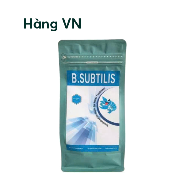 BACILLUS SUBTILIS - Ảnh 4