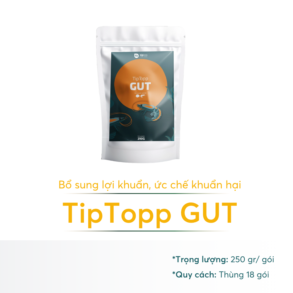 Tip Topp Gut - Ảnh 6
