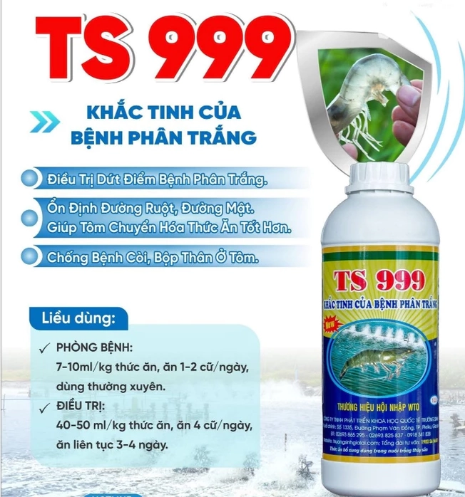 TS 999 - Ảnh 3