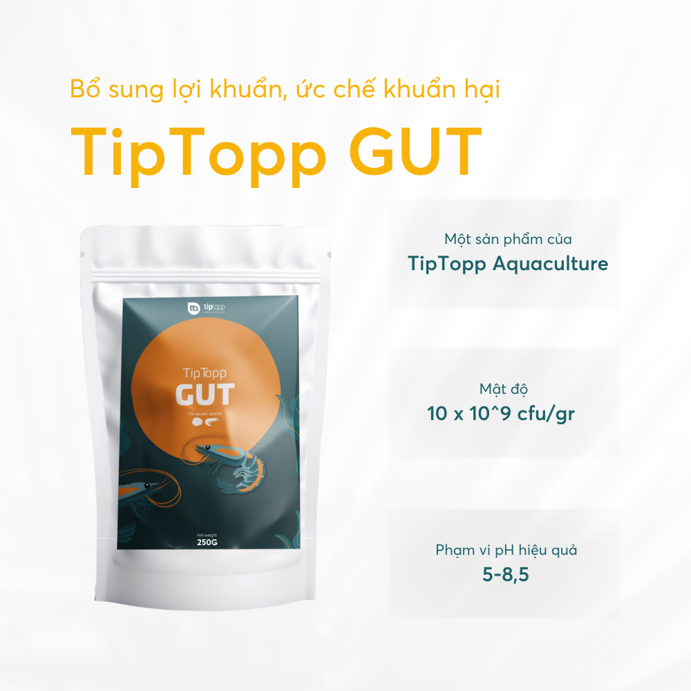 Tip Topp GUT - Ảnh 3