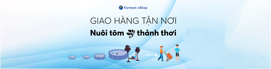 slogan-Mid WEB