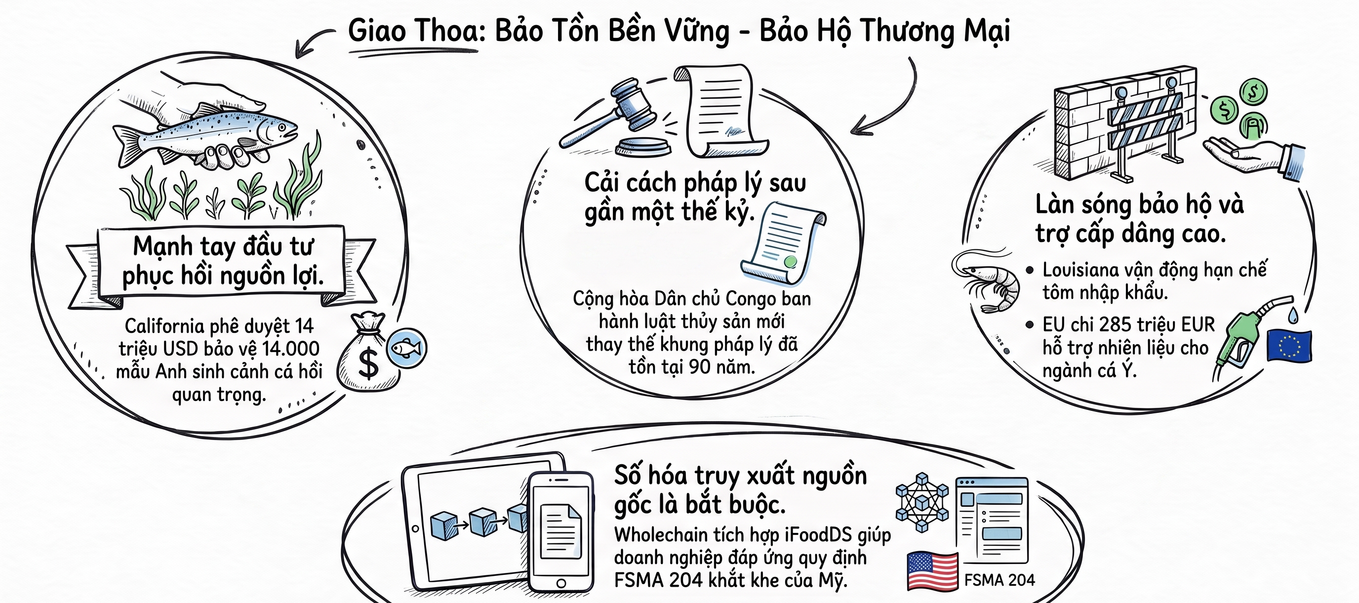 Infographic về bảo tồn bền vững và bảo hộ thương mại thủy sản Sơ đồ minh họa 4 xu hướng chính trong ngành thủy sản về bảo tồn, pháp lý, bảo hộ thương mại và truy xuất nguồn gốc.