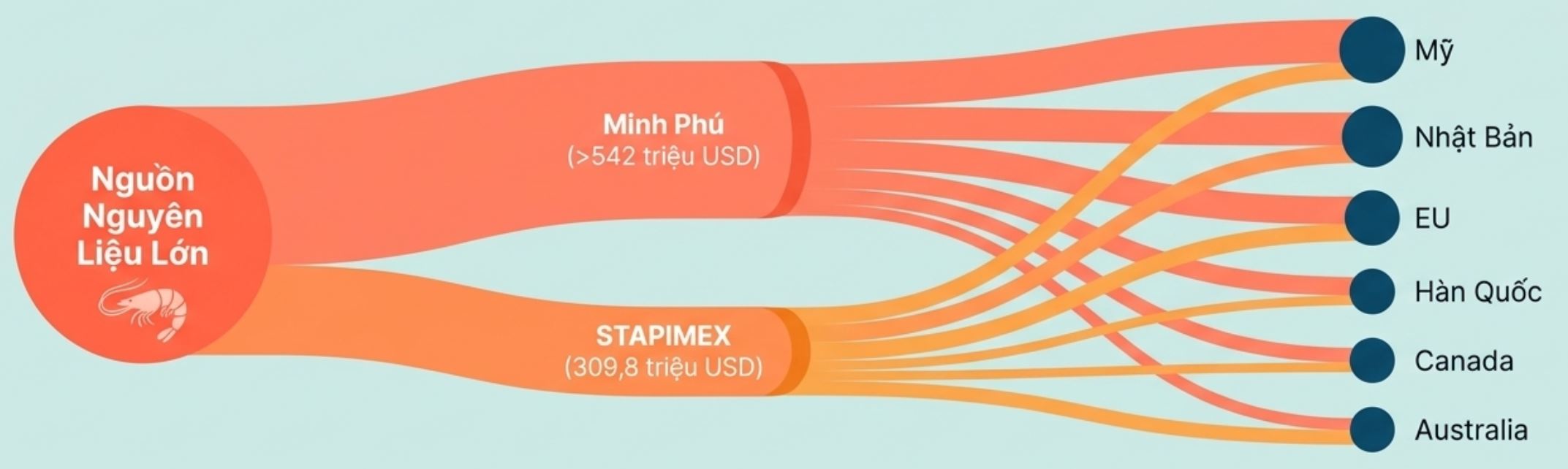 Biểu đồ luồng xuất khẩu tôm nguyên liệu từ Minh Phú và Stapimex đến các thị trường như Mỹ, Nhật Bản, EU.