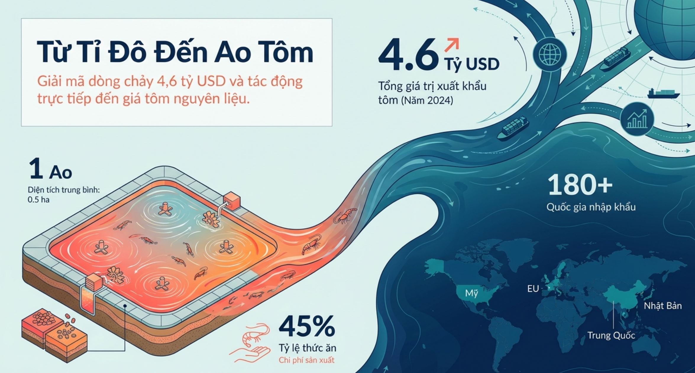 Infographic minh họa dòng chảy xuất khẩu tôm từ ao nuôi đến các thị trường quốc tế đạt 4,6 tỷ USD.