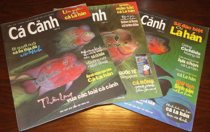 Các cuốn tạp chí Cá Cảnh chủ đề cá La Hán Ba cuốn tạp chí Cá Cảnh chuyên đề về cá La Hán và các loài cá cảnh được xếp trên mặt bàn gỗ.