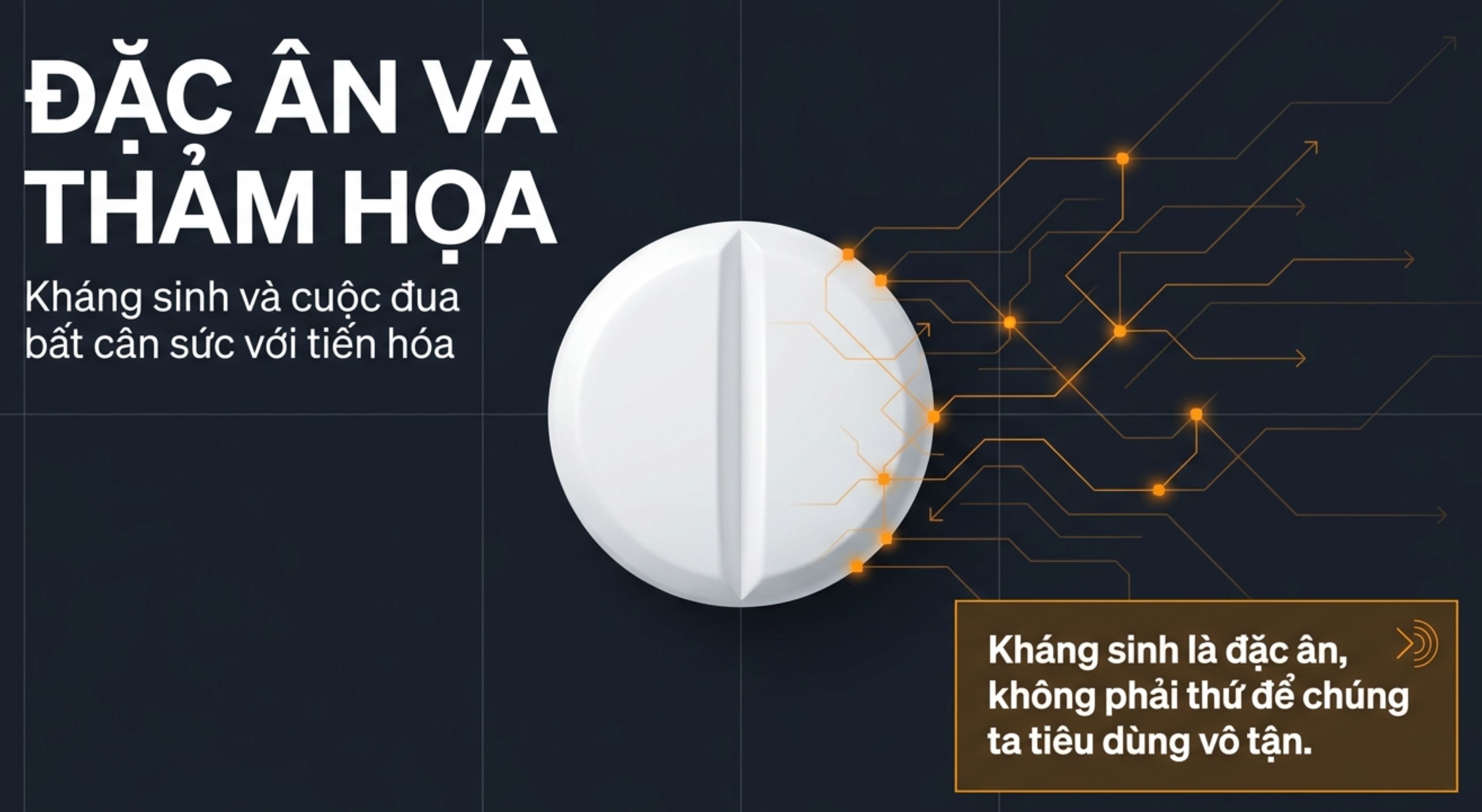 Hình ảnh viên thuốc màu trắng cùng các thông điệp cảnh báo về việc sử dụng kháng sinh.