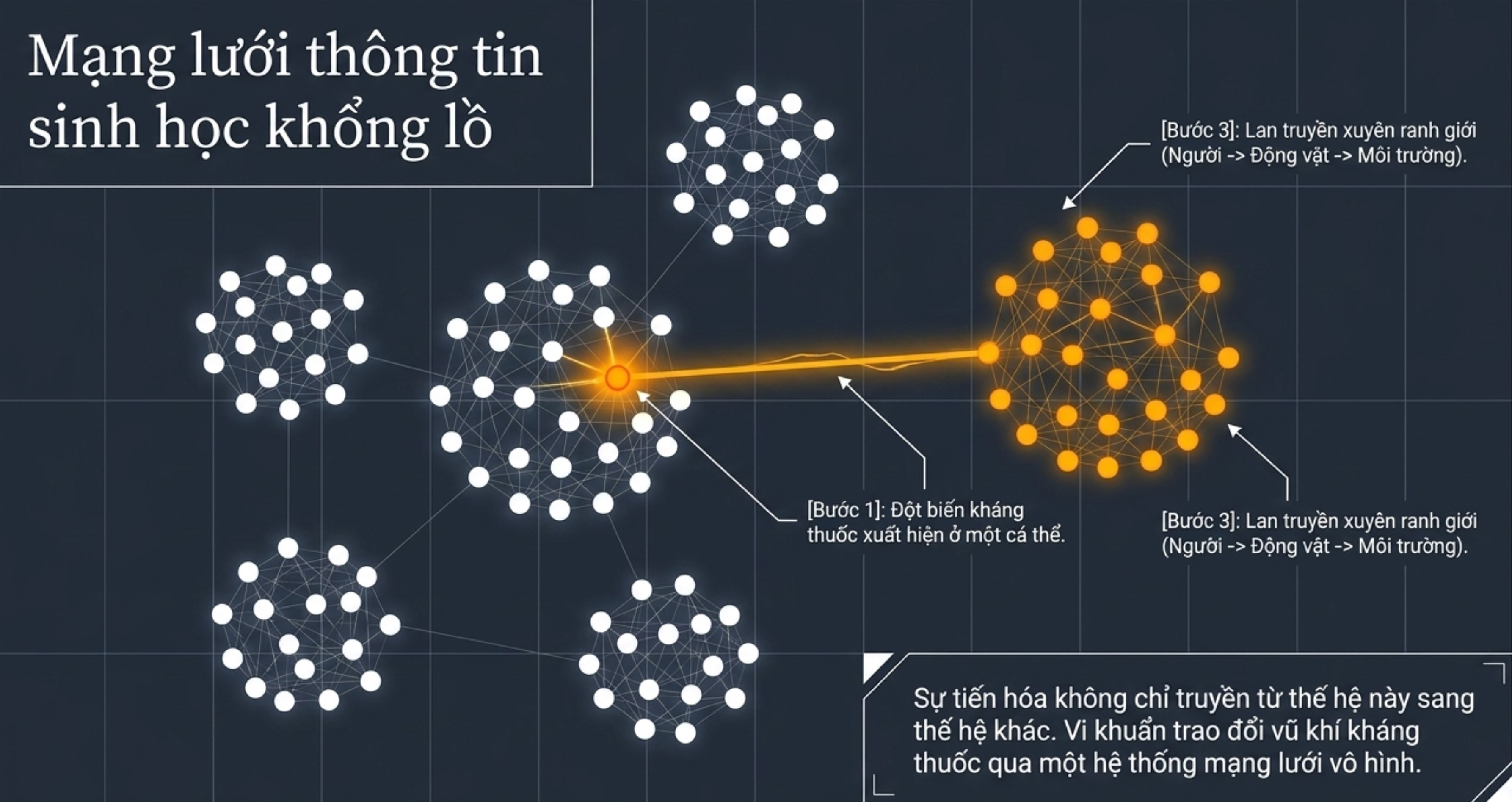 Sơ đồ dạng mạng lưới mô tả cơ chế lan truyền gen kháng thuốc kháng sinh giữa các vi khuẩn.