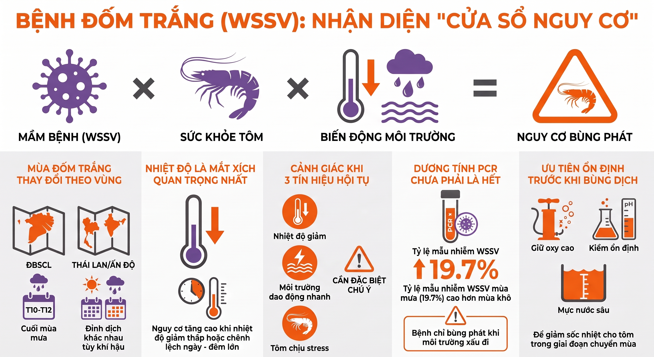 Nhận diện cửa sổ nguy cơ bệnh đốm trắng (WSSV) trên tôm Infographic tổng quan về nguy cơ bùng phát bệnh đốm trắng WSSV trên tôm và các yếu tố môi trường liên quan.