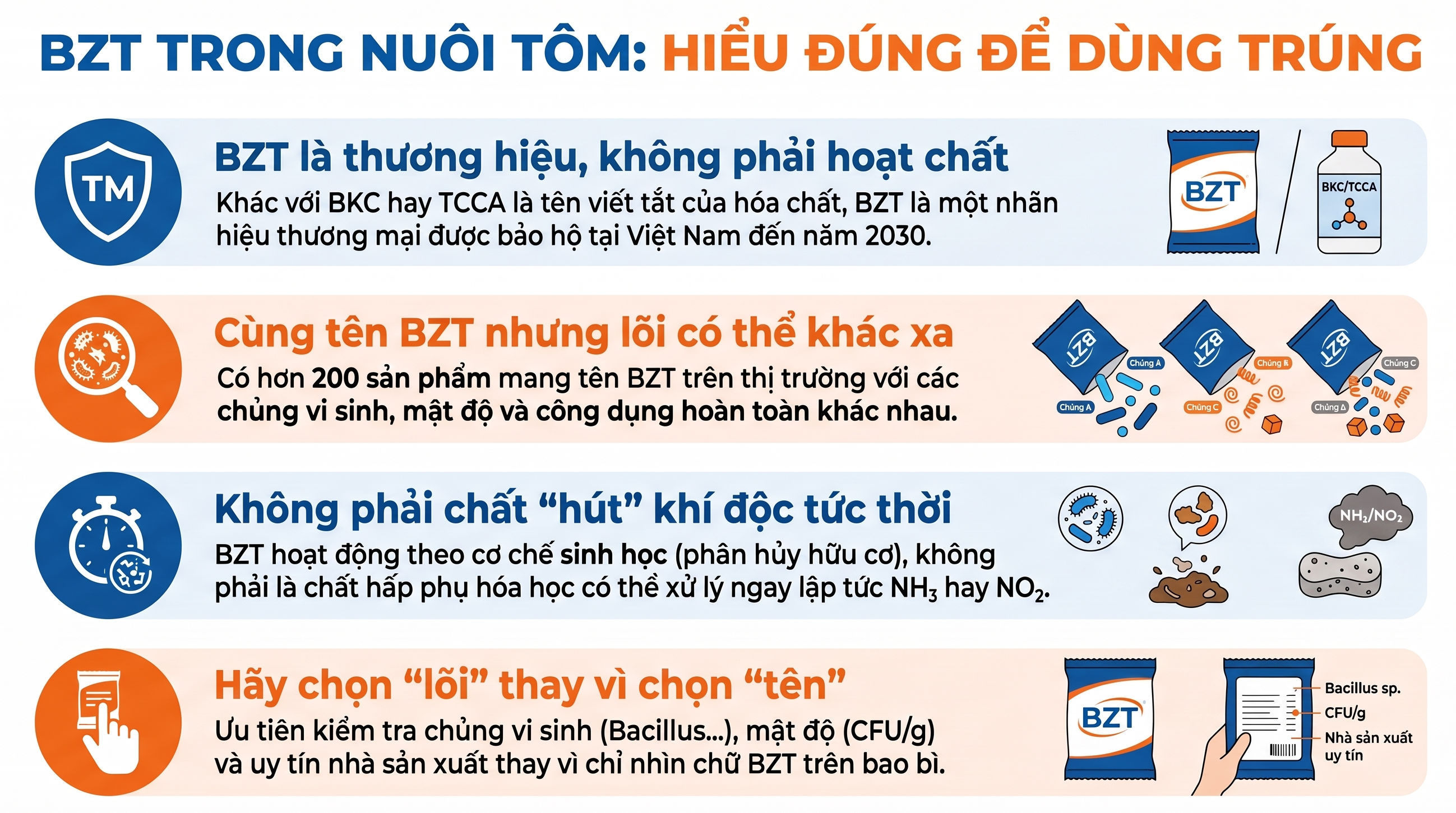 Hướng dẫn hiểu đúng về chế phẩm BZT trong nuôi tôm Infographic giải thích khái niệm BZT, lưu ý về chủng vi sinh và cách chọn sản phẩm BZT hiệu quả trong nuôi tôm.
