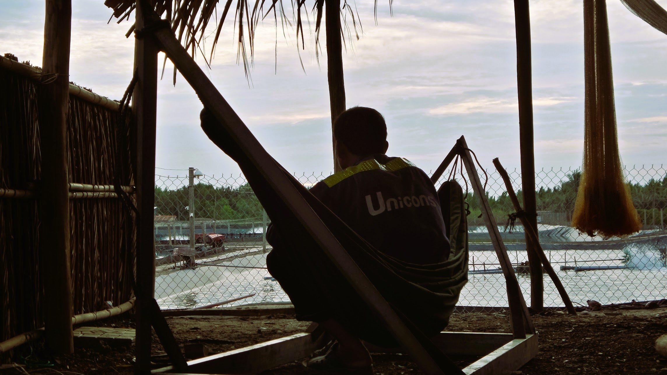 Người lao động ngồi trên võng trong chòi canh nhìn ra ao nuôi Người đàn ông ngồi trên võng trong chòi lá hướng tầm mắt ra khu vực các ao nuôi thủy sản.