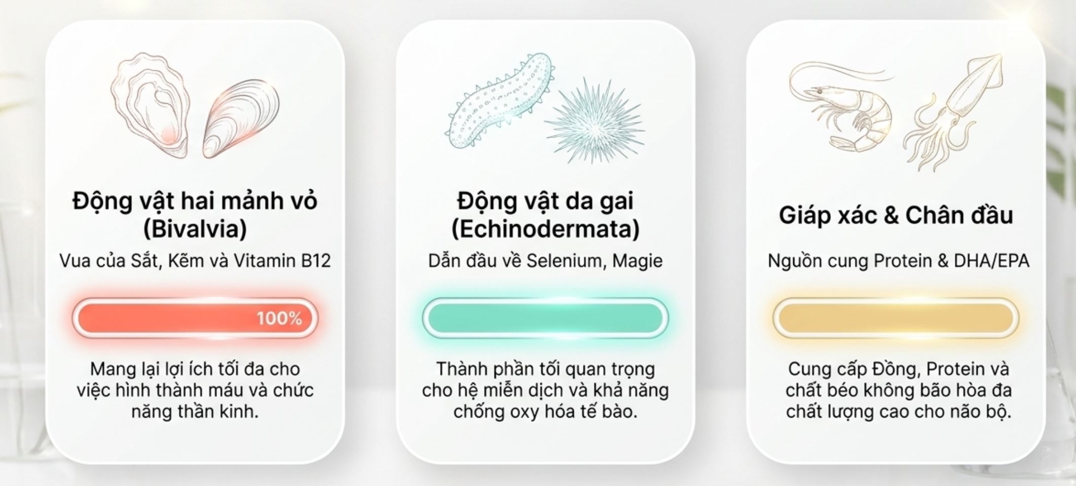 Infographic tổng hợp giá trị dinh dưỡng của động vật hai mảnh vỏ, da gai, giáp xác và chân đầu.