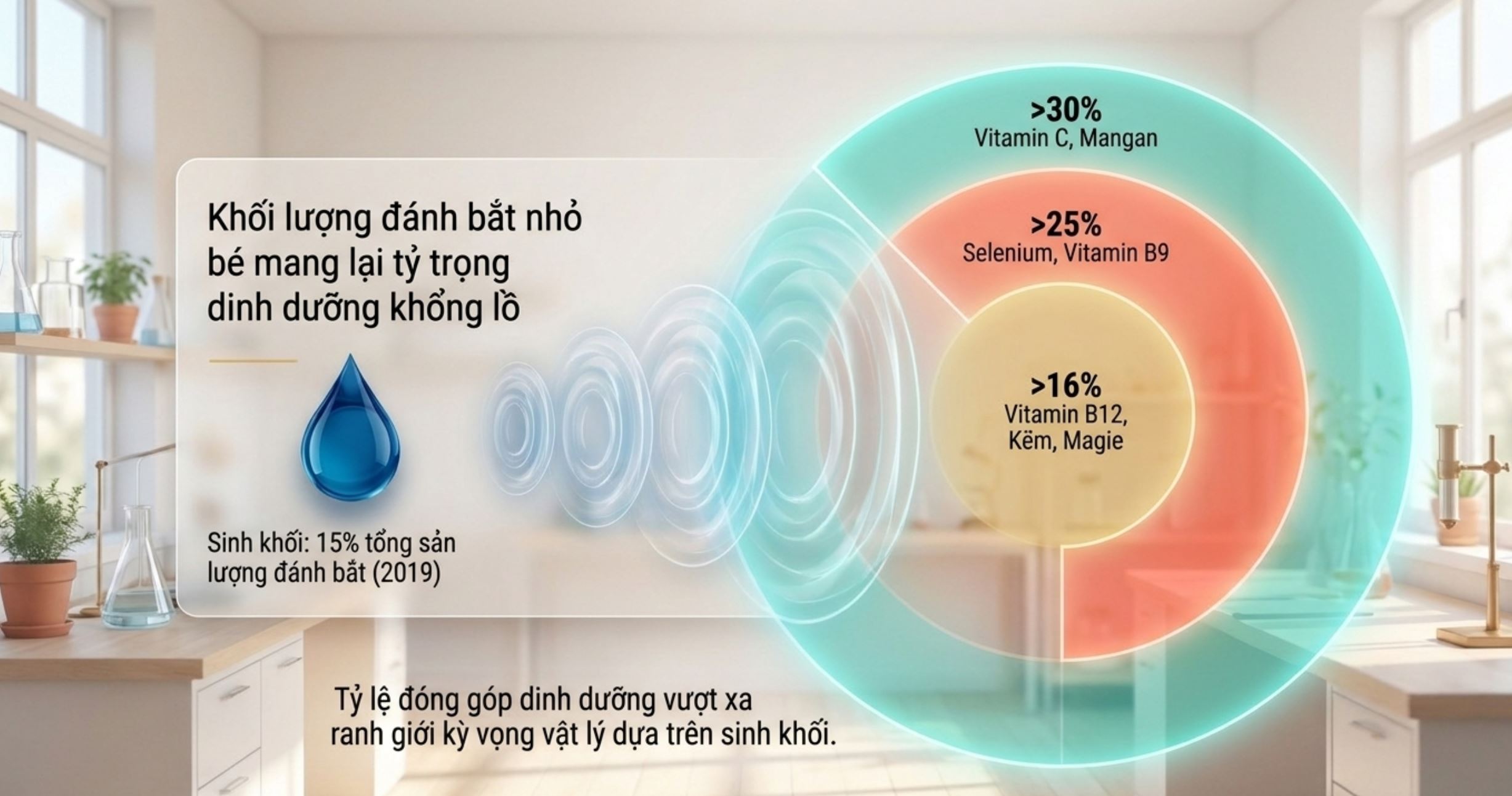 Đồ họa thông tin thể hiện tỷ lệ đóng góp dinh dưỡng và vitamin so với sinh khối đánh bắt.