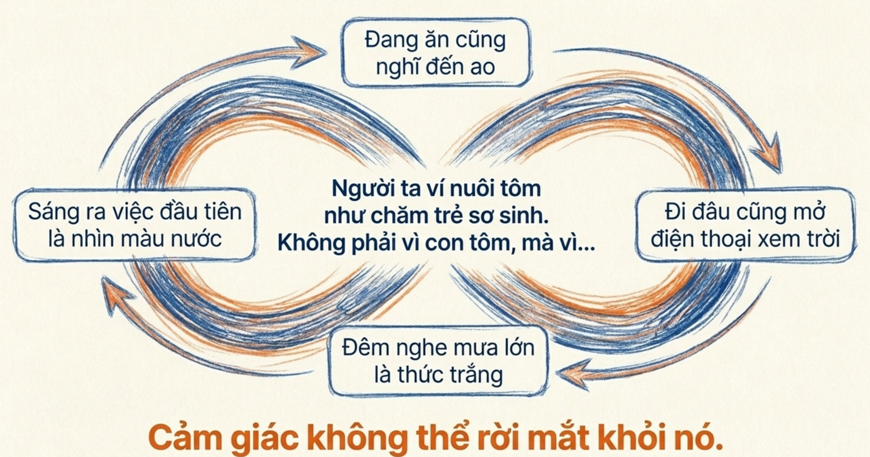 Sơ đồ minh họa những mối lo liên tục của người nuôi tôm Sơ đồ vô cực thể hiện các thói quen và sự quan tâm thường trực của người dân trong nghề nuôi tôm.