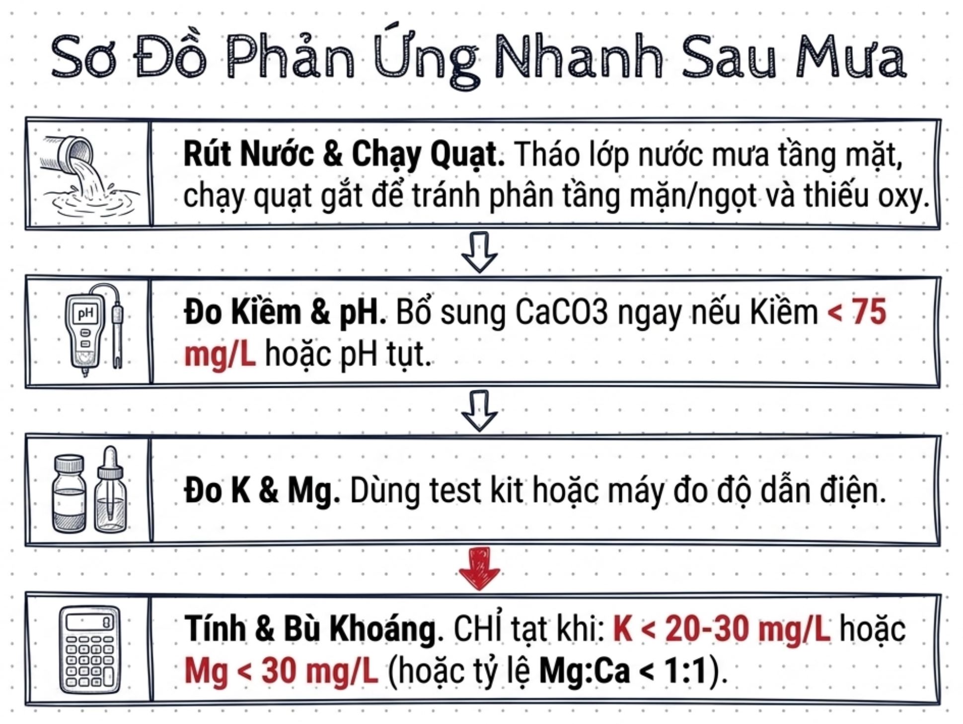 Infographic sơ đồ 4 bước hướng dẫn xử lý ao nuôi sau mưa gồm tháo nước mặt, đo pH, kiềm và bù khoáng.