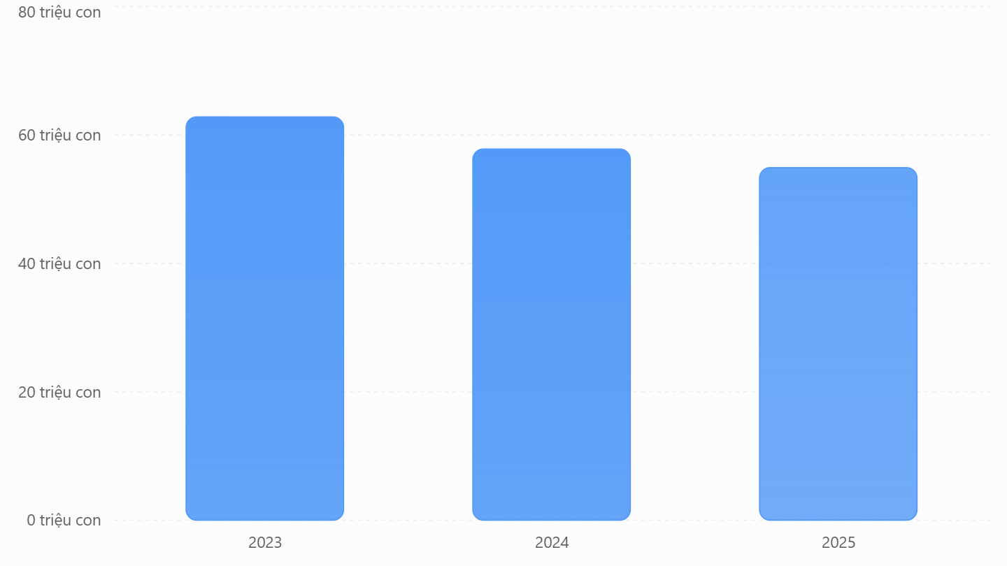 Nguồn: Norwegian Veterinary Institute, Fish Health Reports 2023-2025. Biểu đồ cột màu xanh thể hiện xu hướng giảm qua các năm 2023, 2024 và 2025 tính bằng triệu con.