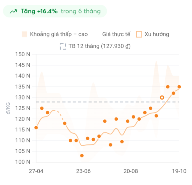 Giá tôm thẻ chân trắng loại 40 con/kg