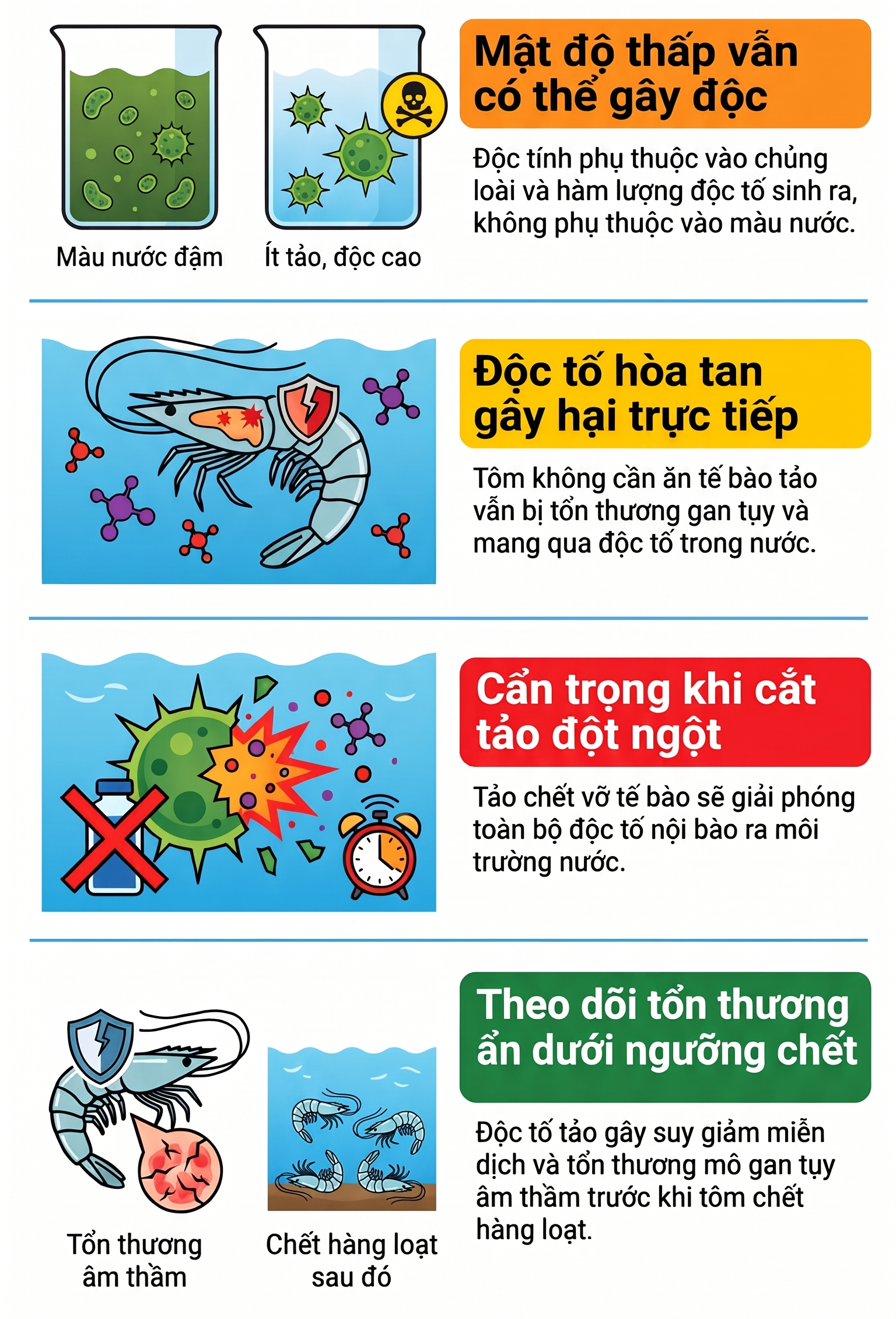 Nguyên tắc an toàn quản lý tảo độc ao tôm
