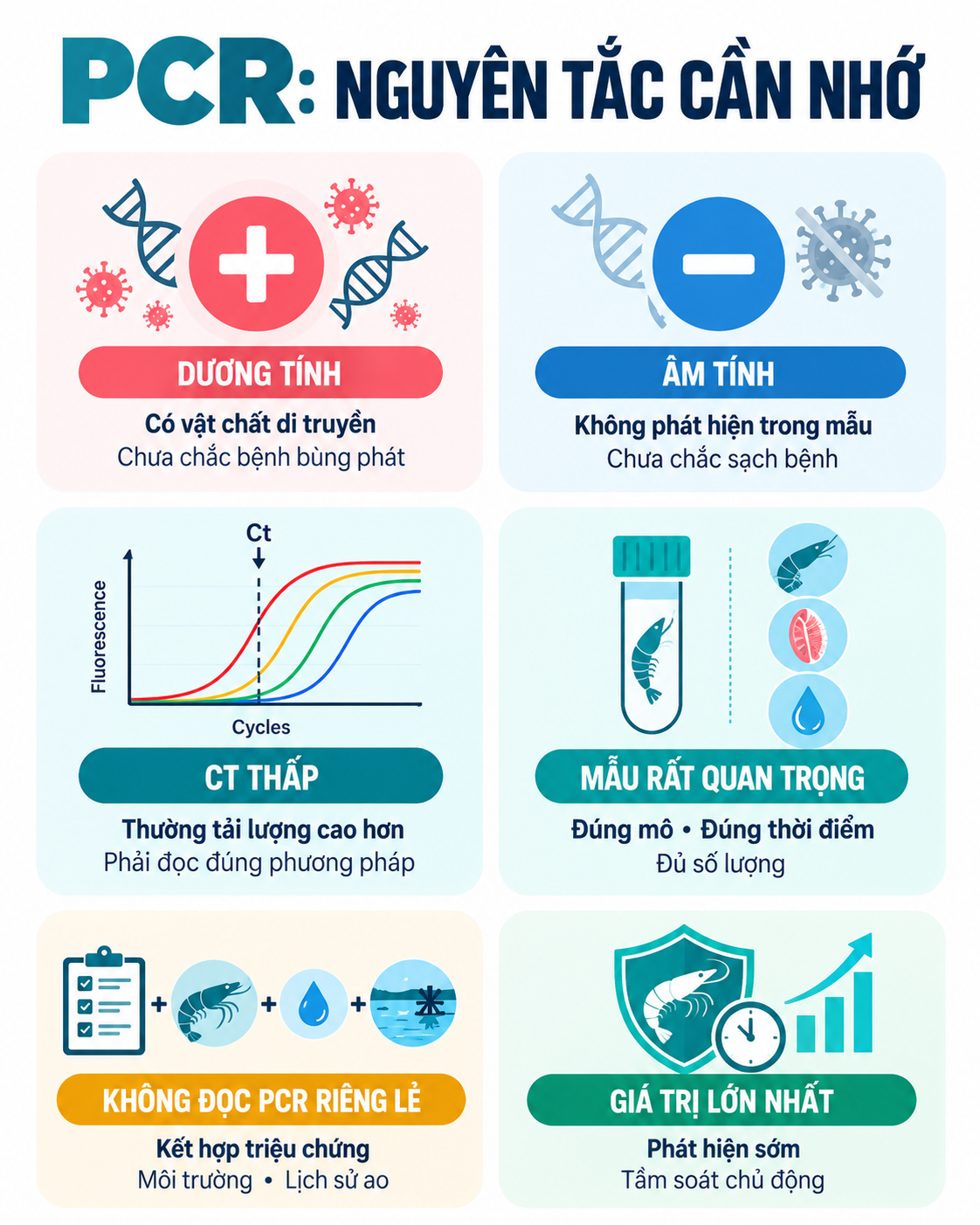 Infographic hướng dẫn 6 nguyên tắc quan trọng khi đọc và ứng dụng kết quả xét nghiệm PCR trong nuôi tôm