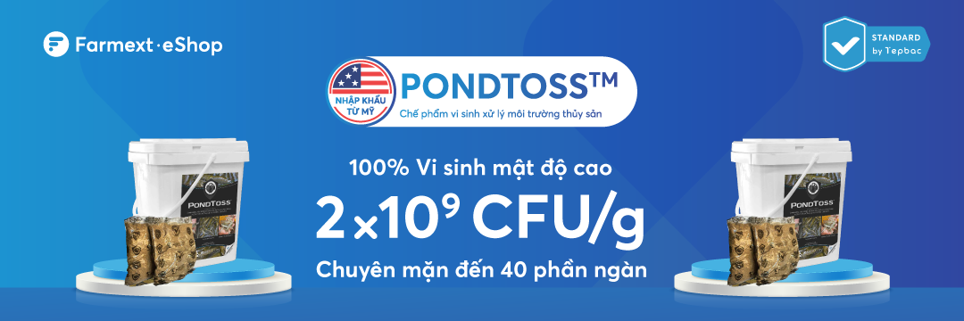 Pondtoss - Top web