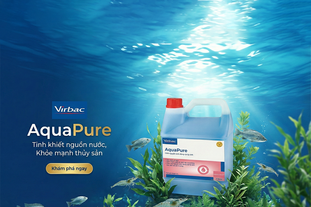aquapure -TOP V4