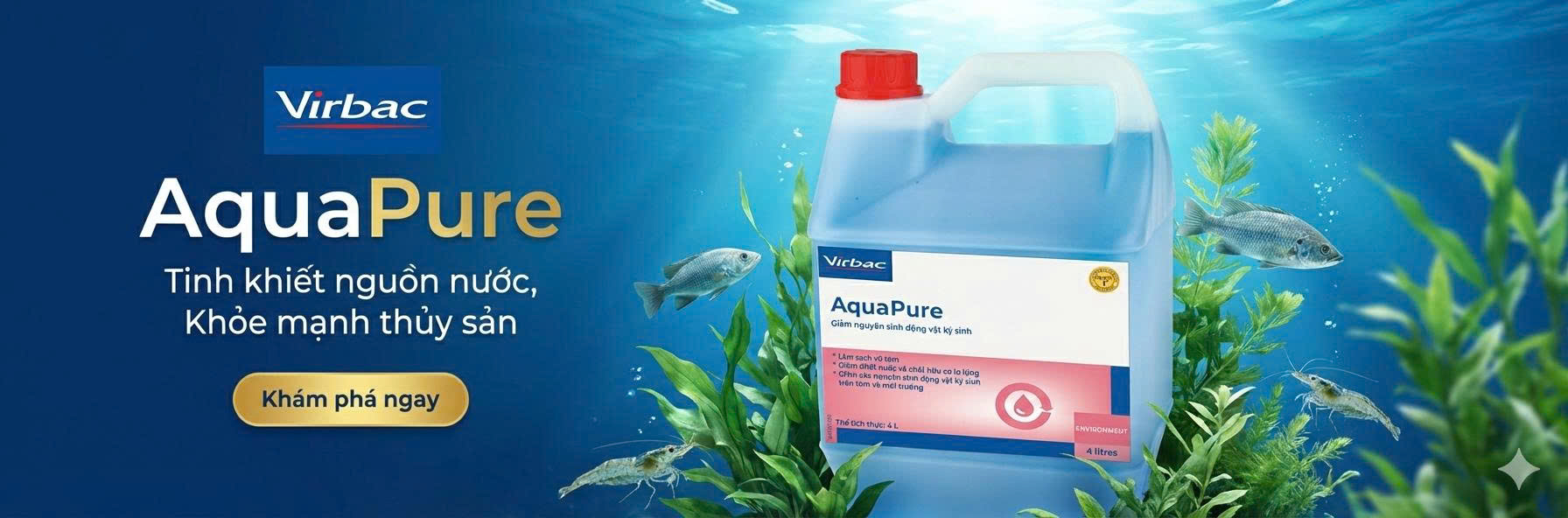 AquaPure - Top web