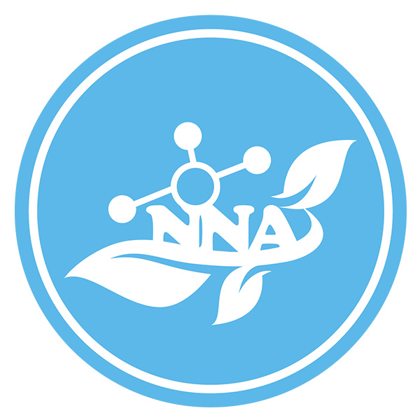 Nano NNA Việt Nam