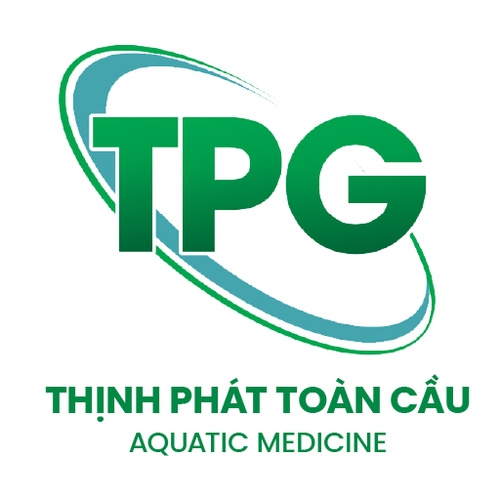 THỊNH PHÁT TOÀN CẦU
