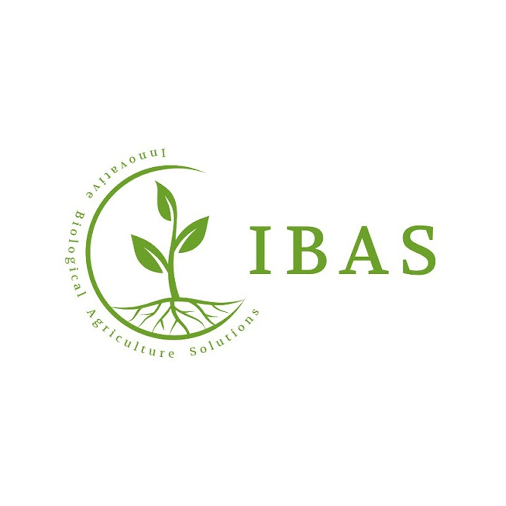 IBAS
