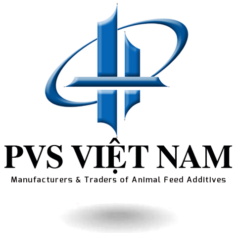 PVS Việt Nam