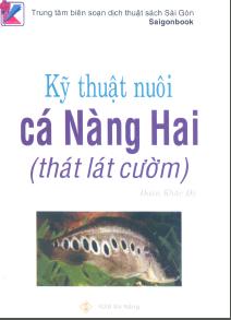 Kỹ thuật nuôi cá Nàng Hai (thát lát còm)