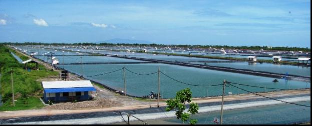 Biosecure module system combined with biofloc technology in blue archipelago farm