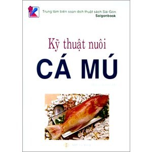 Kỹ thuật nuôi cá Mú