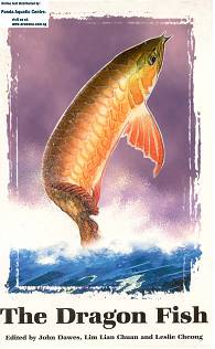 The Dragon Fish